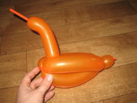 balloon duck