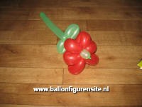 flower balloon