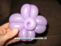 balloon flower
